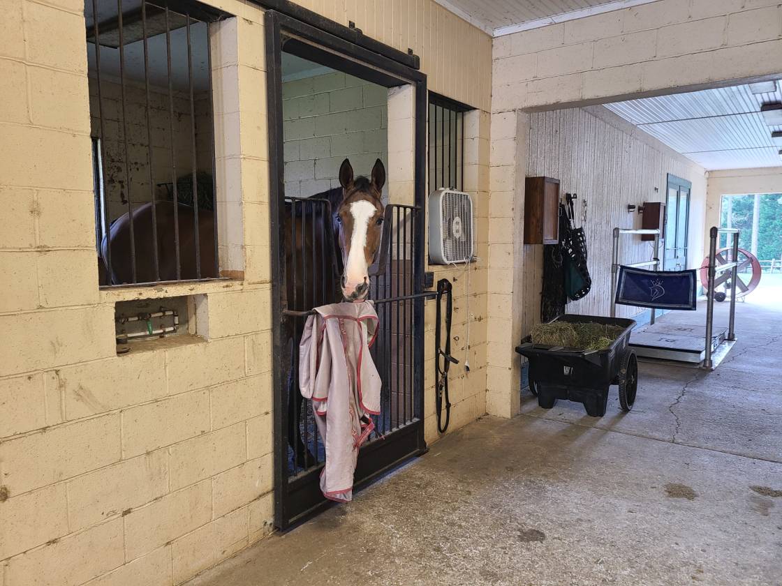 Truly Unique Horse Farm in the Heart of Southern Pines... Vass, Moore County, North Carolina