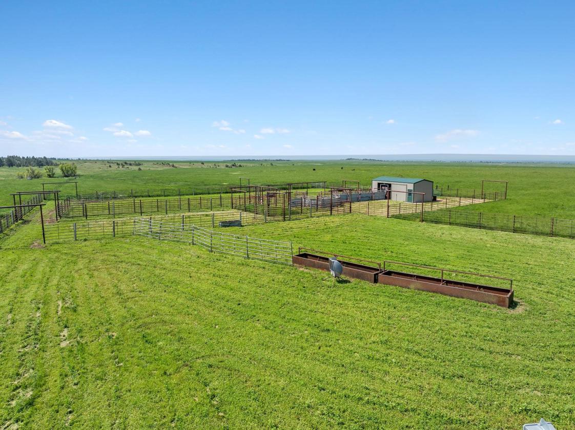 Piney Ridge Ranch - photo 9