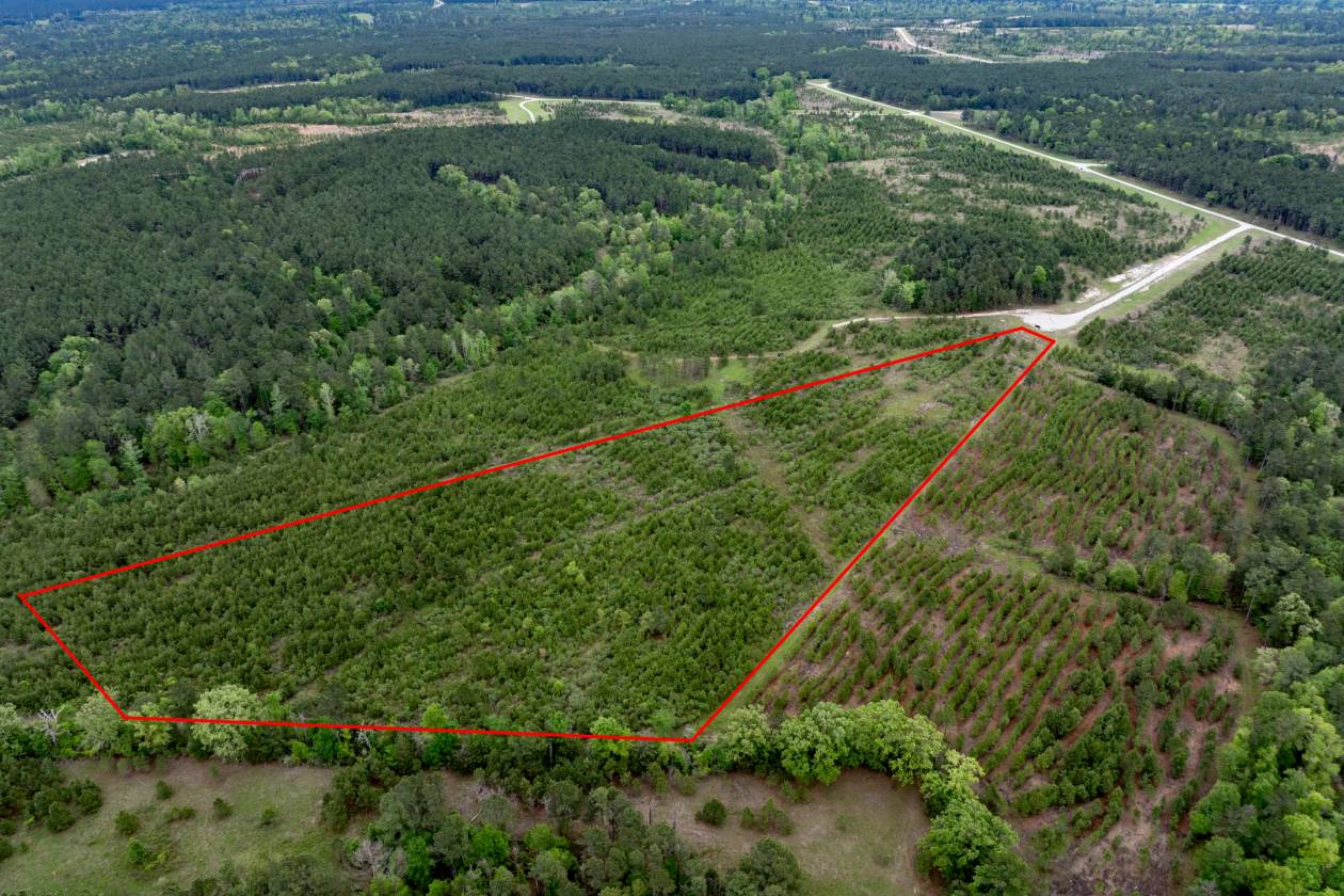 Horse Property for sale.