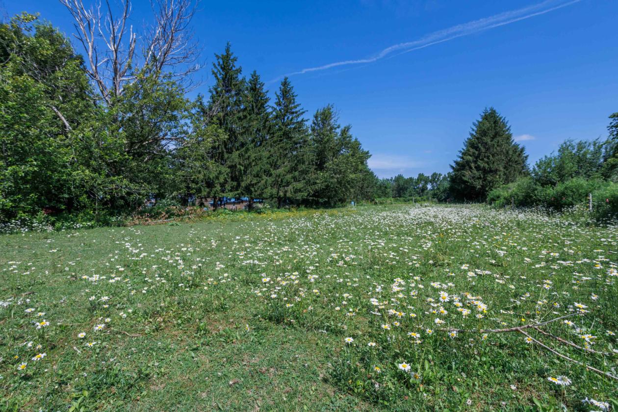Scenic Horse or Hobby Farm - photo 20
