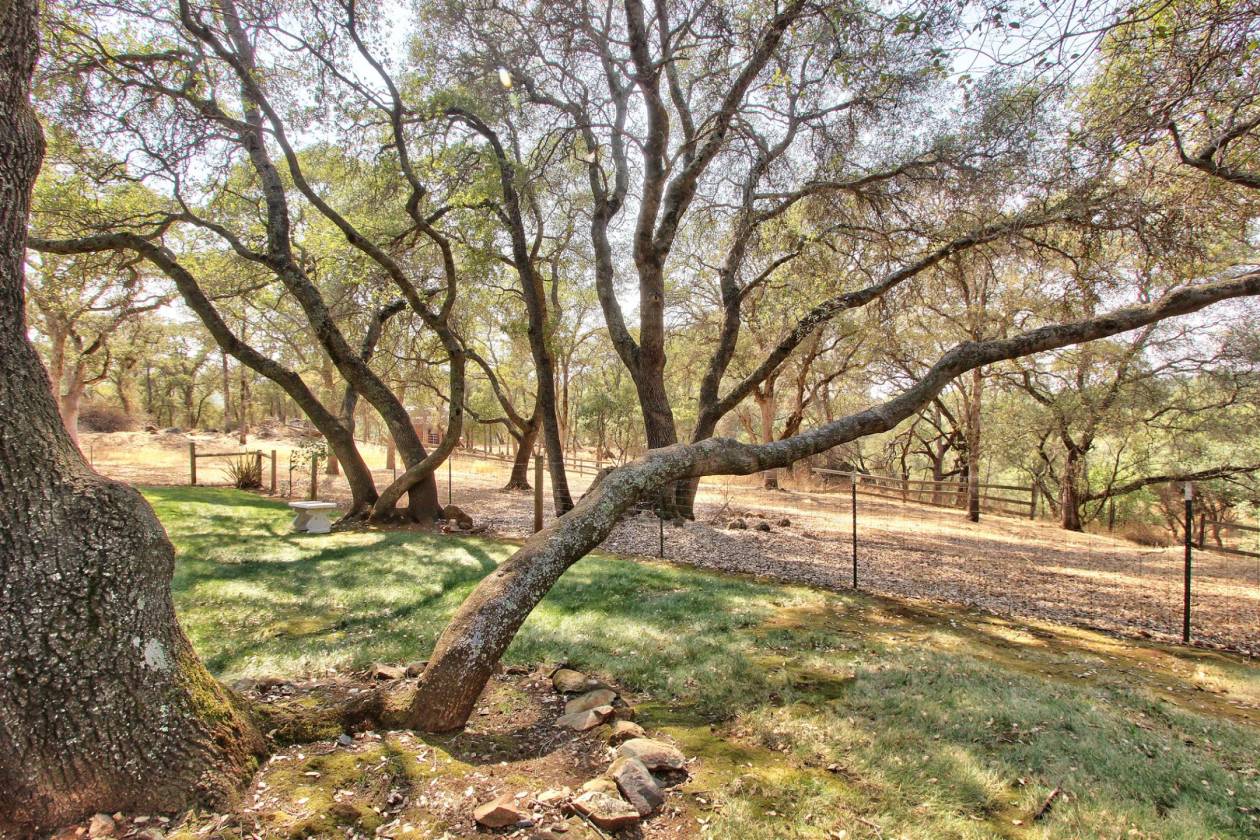 Beautiful Horse property with updated home and close to trails and town