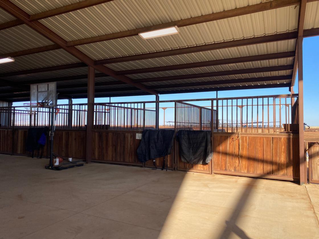 Horse Lover’s Dream - photo 25