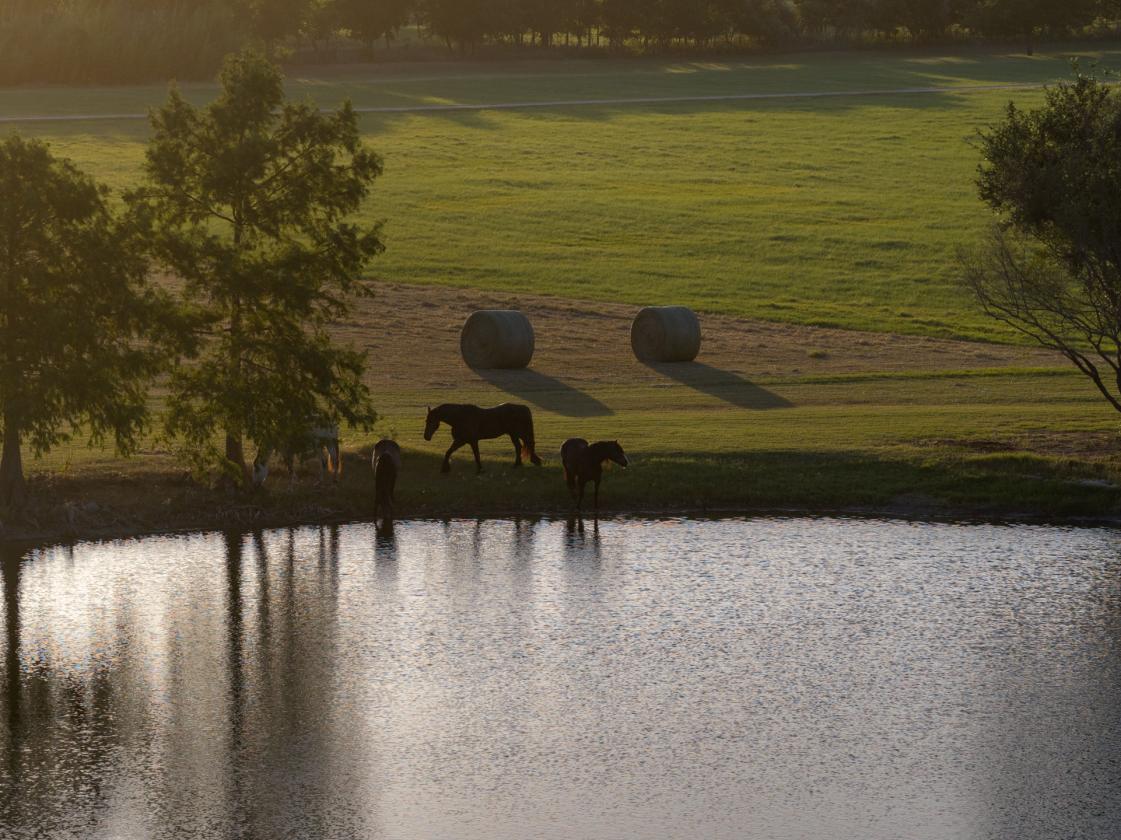 Luxury Equestrian Estate on 73 Acres - photo 2