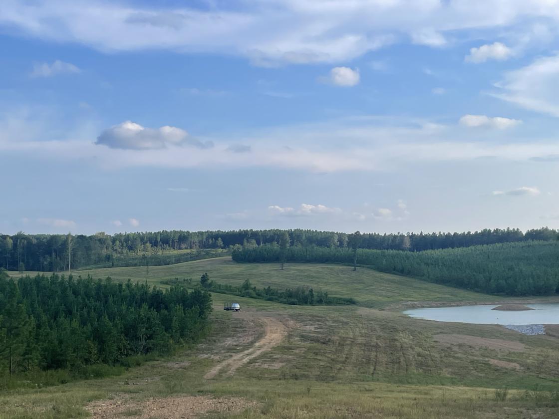 160 Acres in Shelby County w/ pastures and lake - photo 11