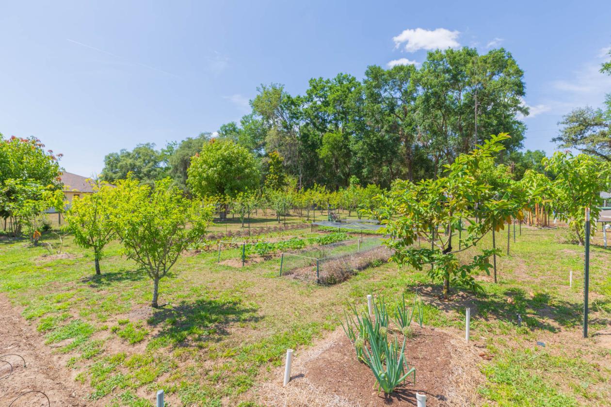 19.4 ACRE HILLTOP ESTATE - photo 2