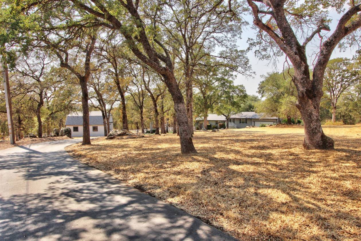 Beautiful Horse property with updated home and close to trails and town