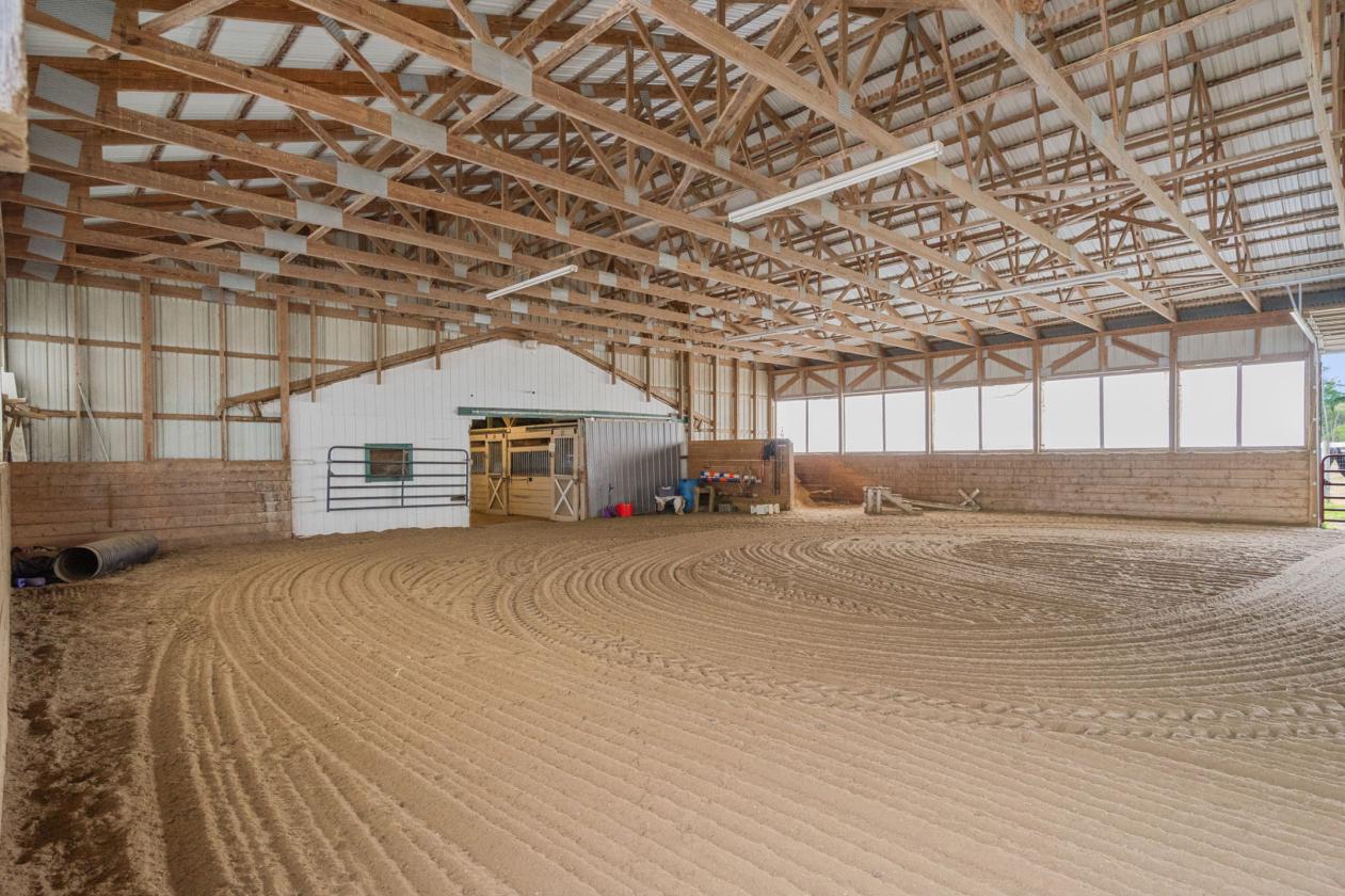 Equine training facility in the Capital District - photo 11