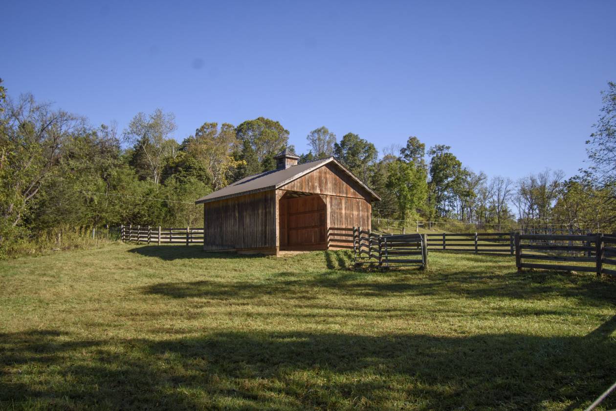 Where Elegance & Equestrian Freedom Come Together - photo 28