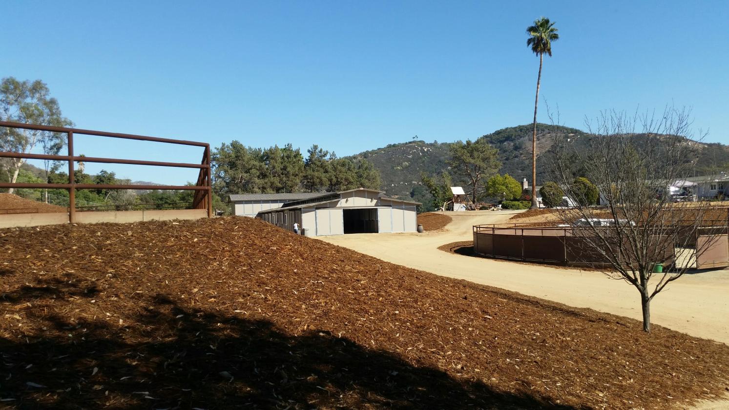 San Diego Professional Horse Property - photo 9