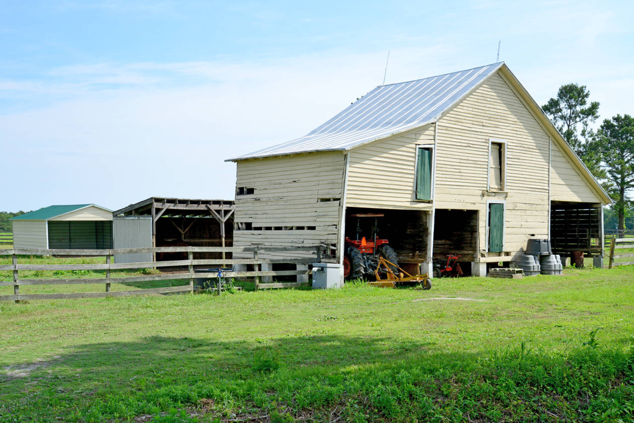 64.5 acre horse farm across road from golf course in... Ayden, Pitt
