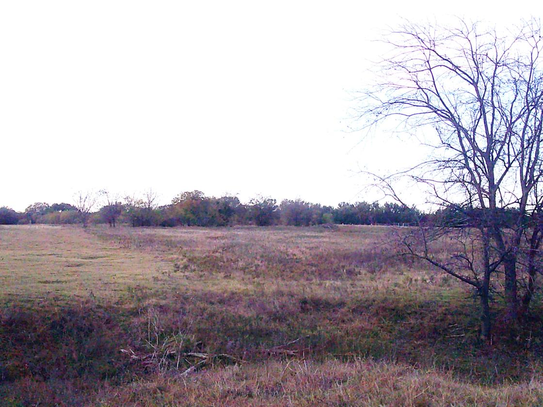 Horse Pasture With ponds - photo 8