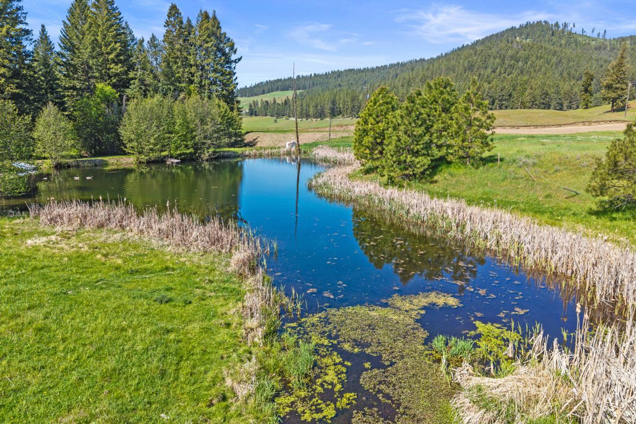 Stranger Creek Ranch! 358 acres available - photo 24