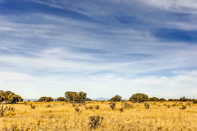 155 VIEW Acres - photo 30