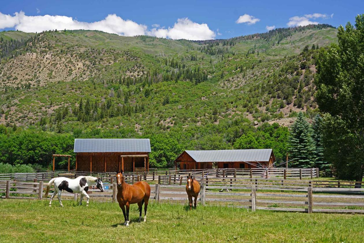 Ranch on Sweetwater - photo 7