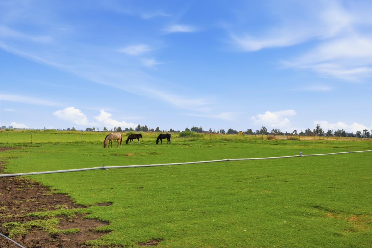 29 Acres | 24.34 Irrigated | Horse-Ready - photo 2