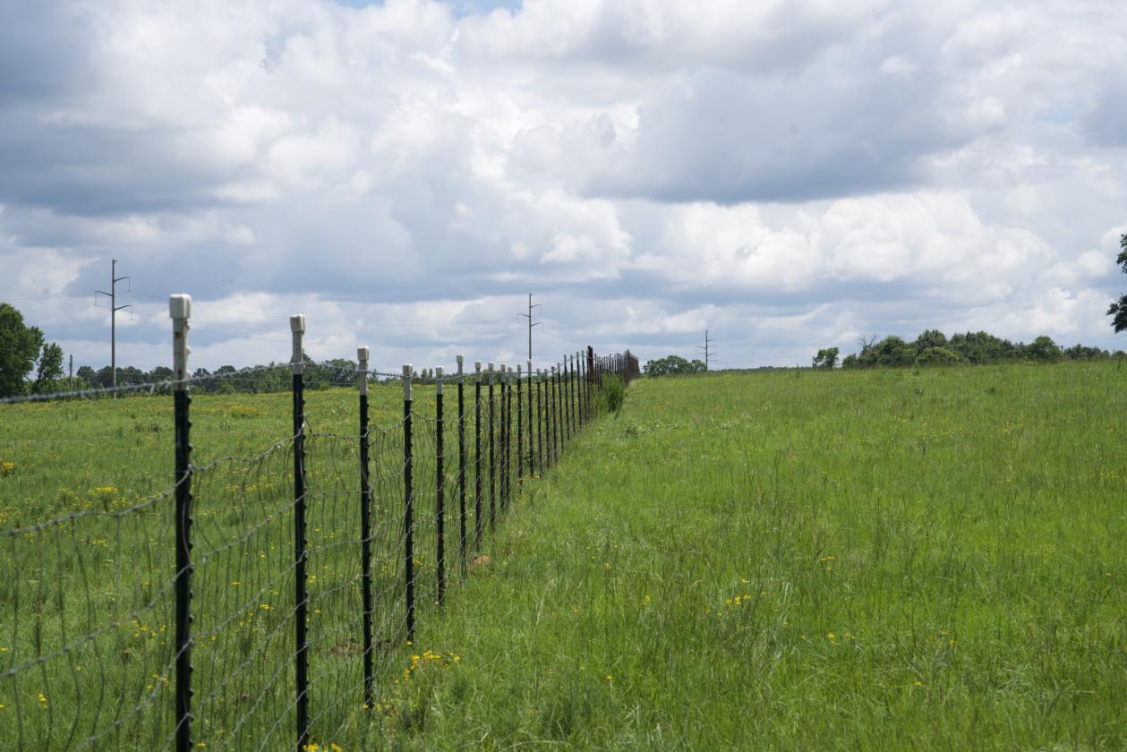 273+/- Acres With 20,000 Square Covered Arena - photo 27