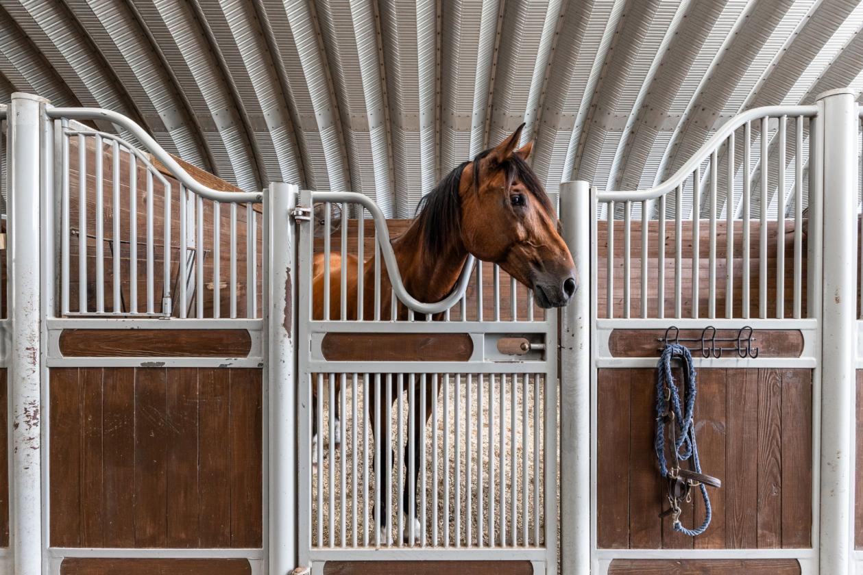 Upgraded equestrian estate on 5 acres - photo 15