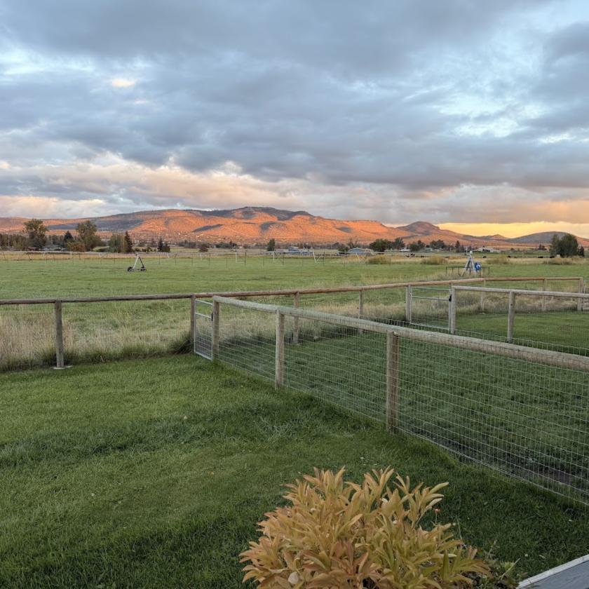 29 Acres | 24.34 Irrigated | Horse-Ready - photo 4
