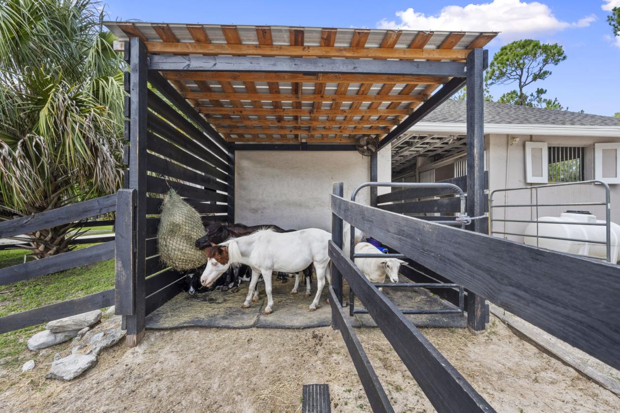 Luxury Equestrian Estate near Wellington - photo 12