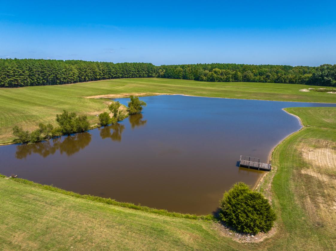 Manicured Equestrian Estate on 65 Acres - photo 5