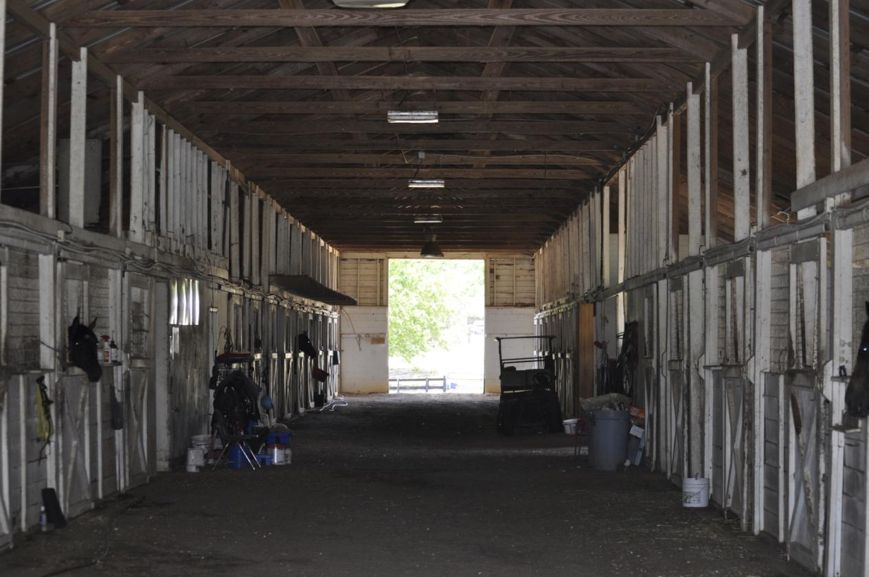 Tiffany Farm - 108 Acres - photo 8