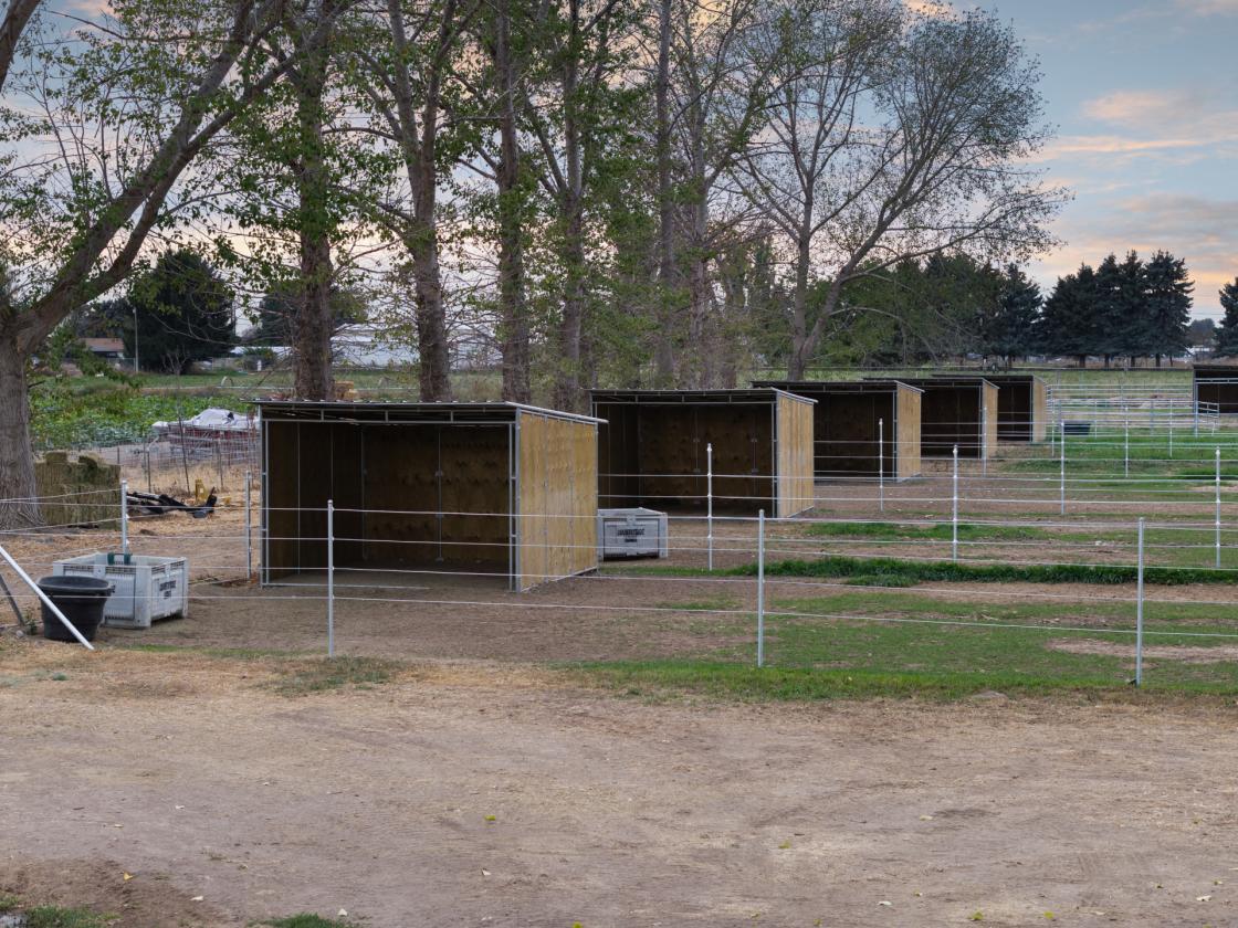 Your Horses Called. They Want This Place. - photo 13