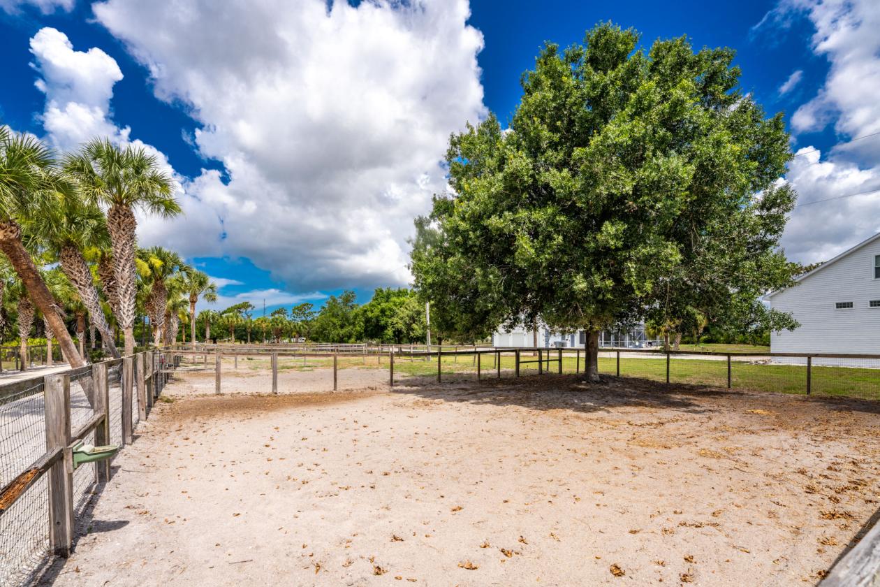 Premier 5 Acre Equestrian Estate - photo 17