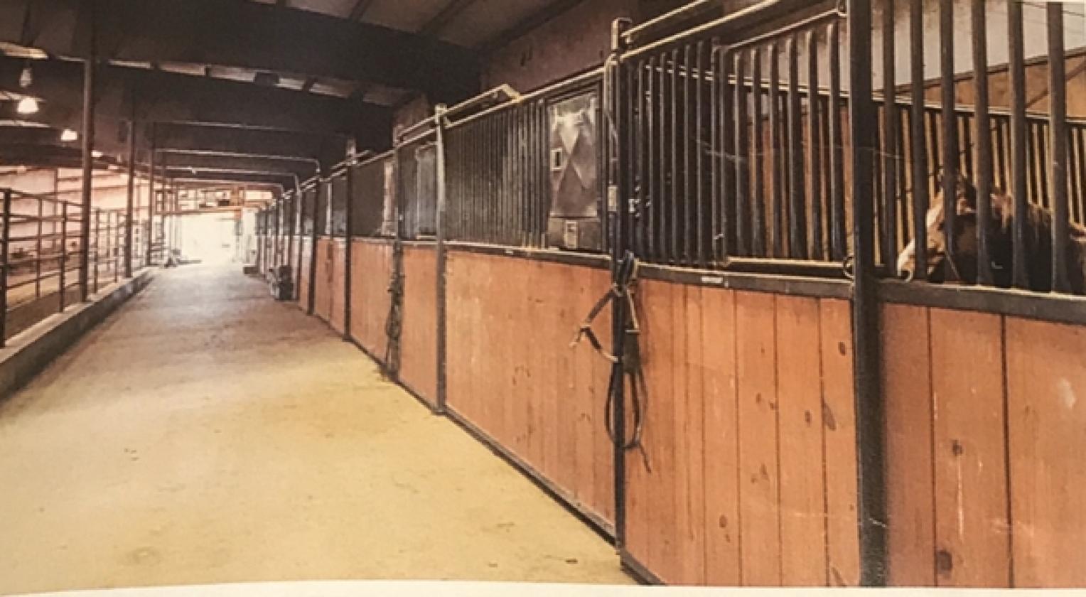 Equestrian Estate, 40+/- acres, Huge Indoor Arena - photo 27