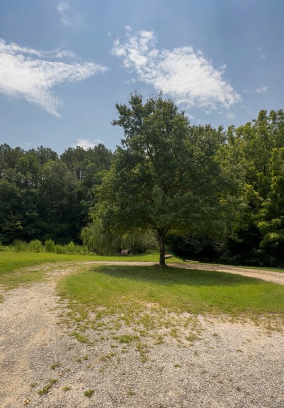 Ly-Nard Farm - photo 28