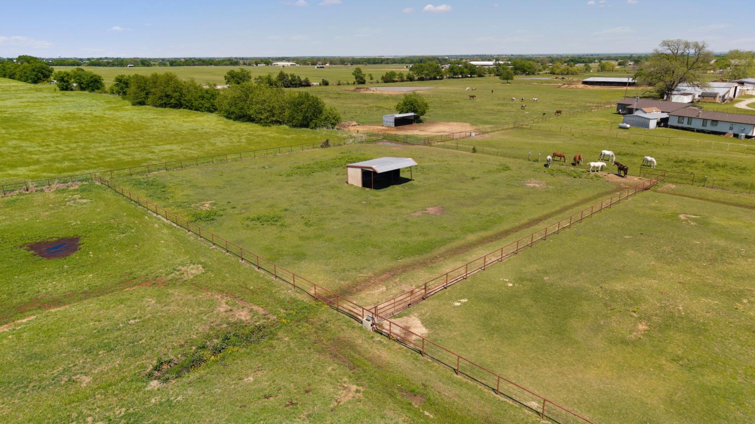 TM Horse Ranch - photo 22