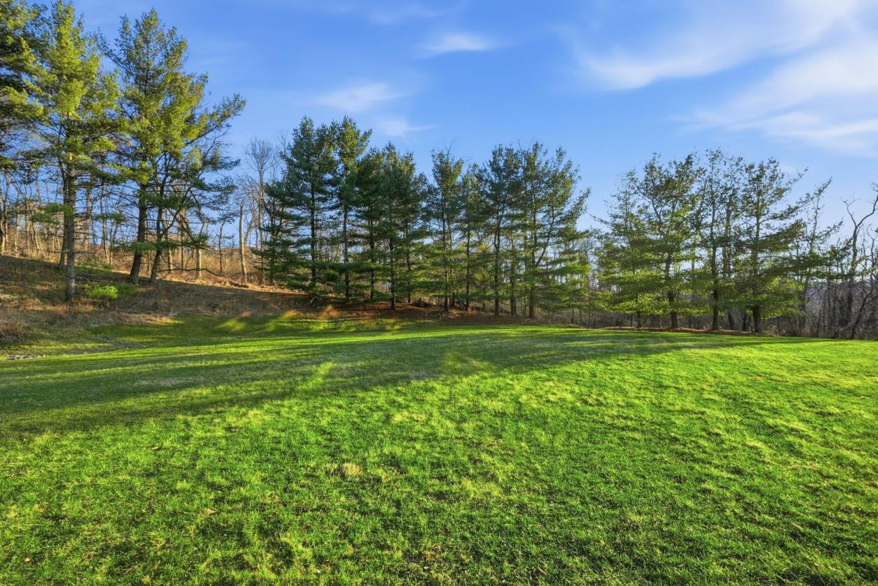 Stunning Equestrian Home! - photo 11