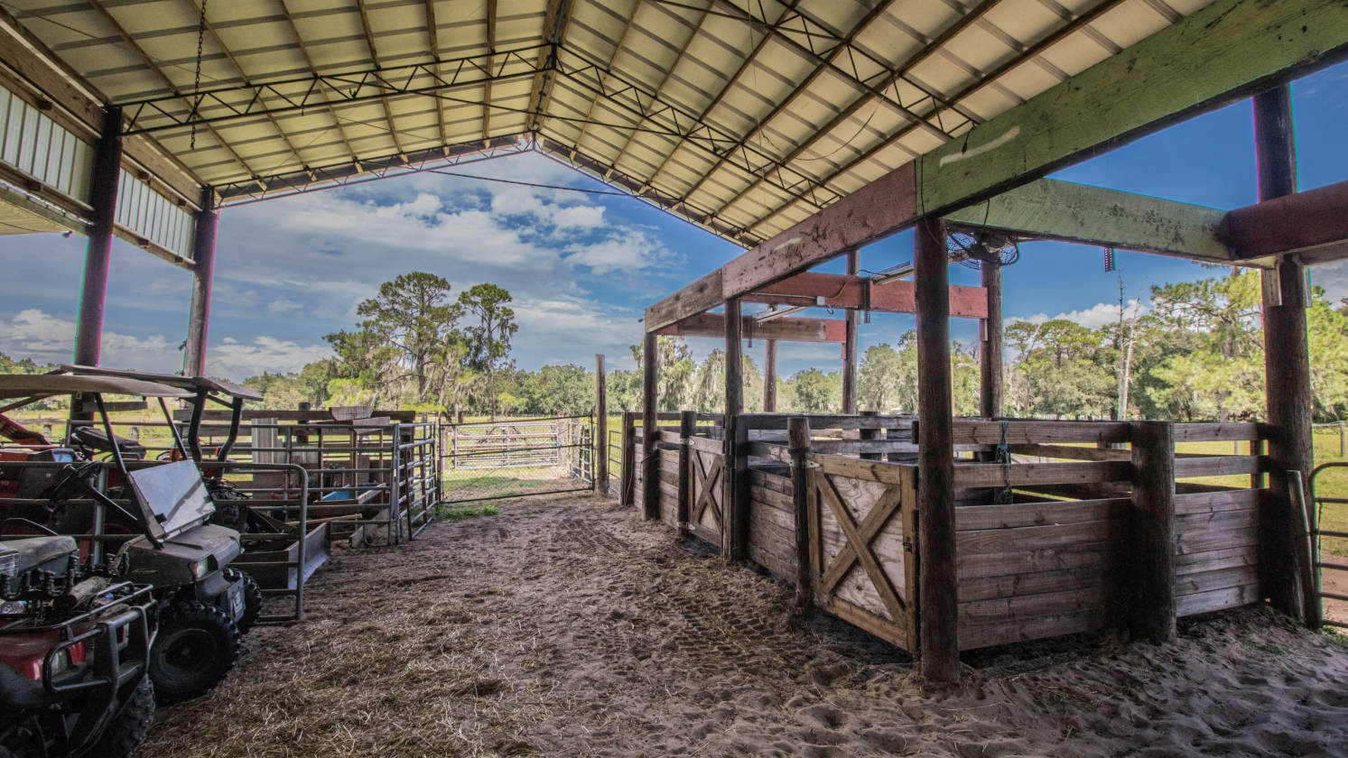 Beautiful Central Florida Estate. Cattle/ Horse farm with a Pool