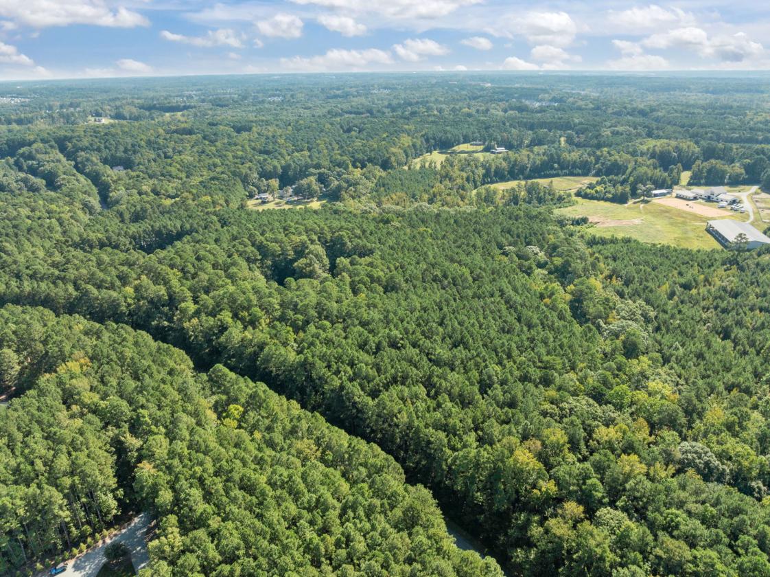 15+ Ac, Equestrian Potential + luxury home - photo 2