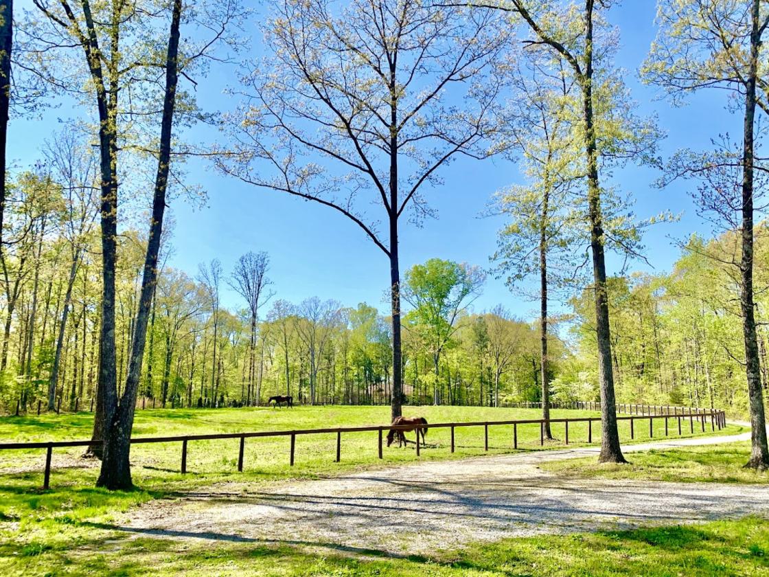 Farm - Equestrian Property on 4.57 Acres - photo 3