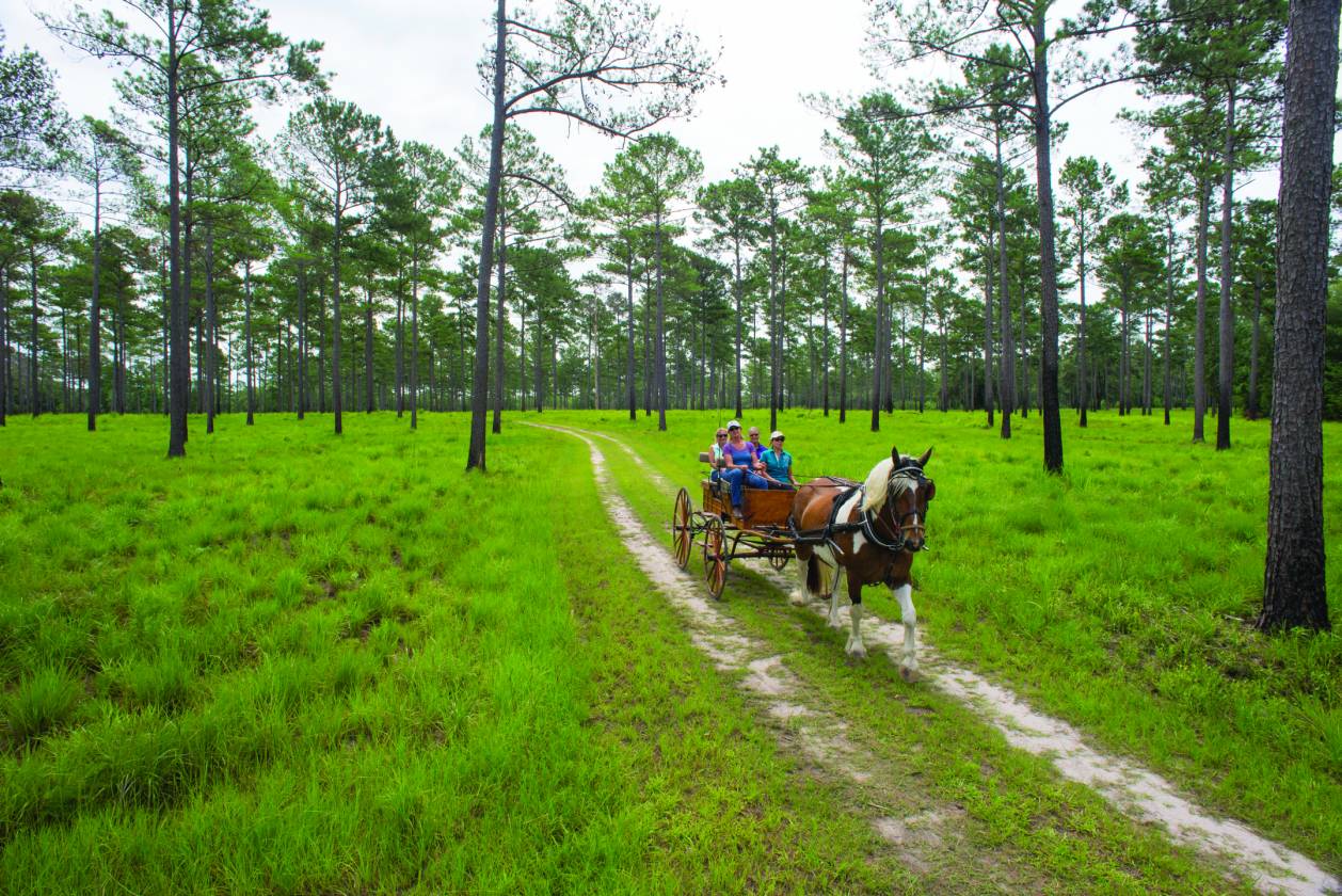 One-of-a-Kind Home in Equestrian Community - photo 28