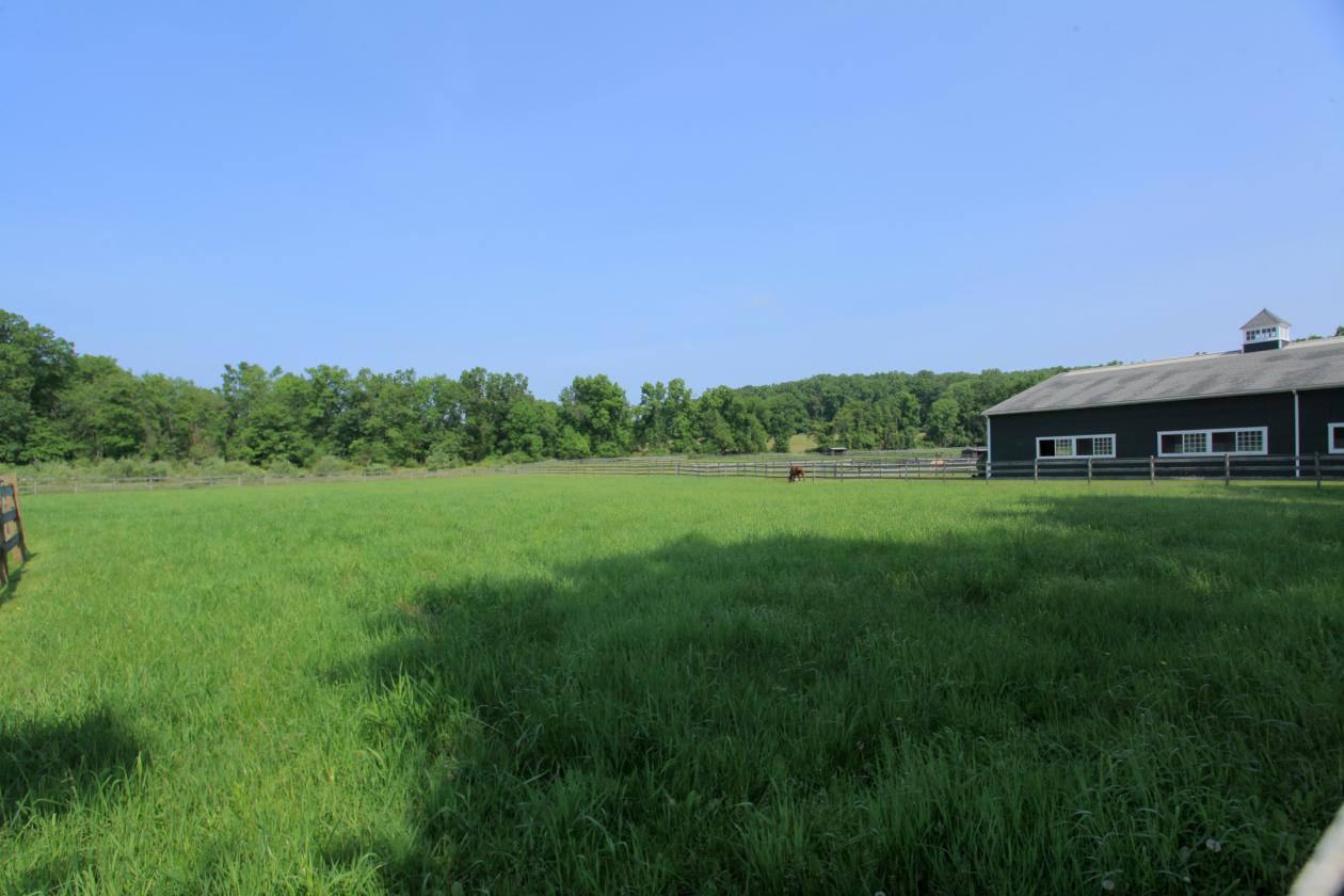 Rent this exceptional equestrian estate.... - photo 6