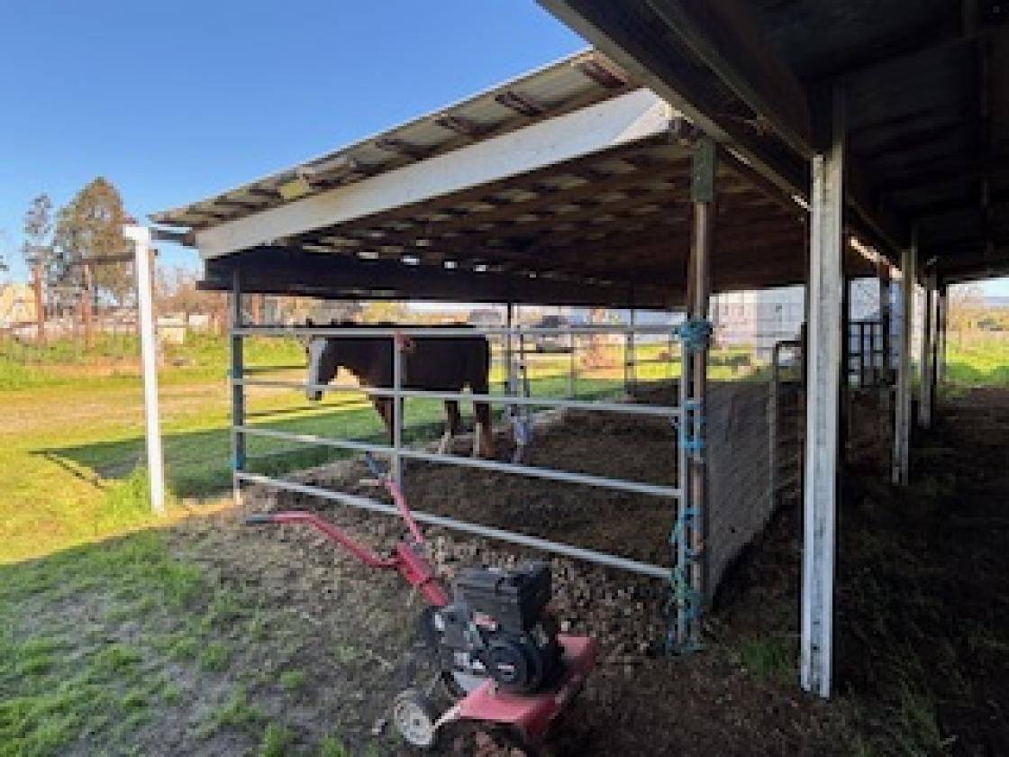 Exceptional Equestrian Breeding &Boarding Facility - photo 6