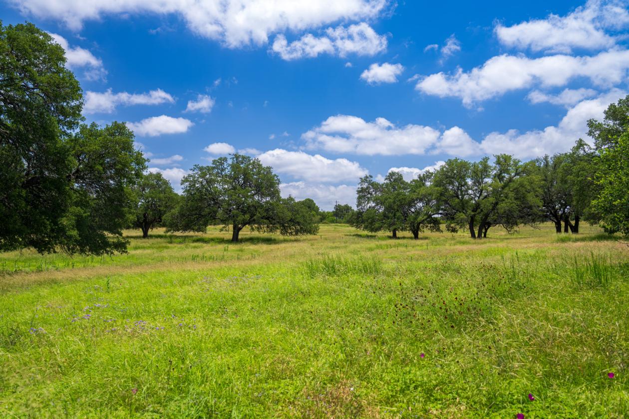 Equestrian Property On the Texas Wine Trail - photo 18