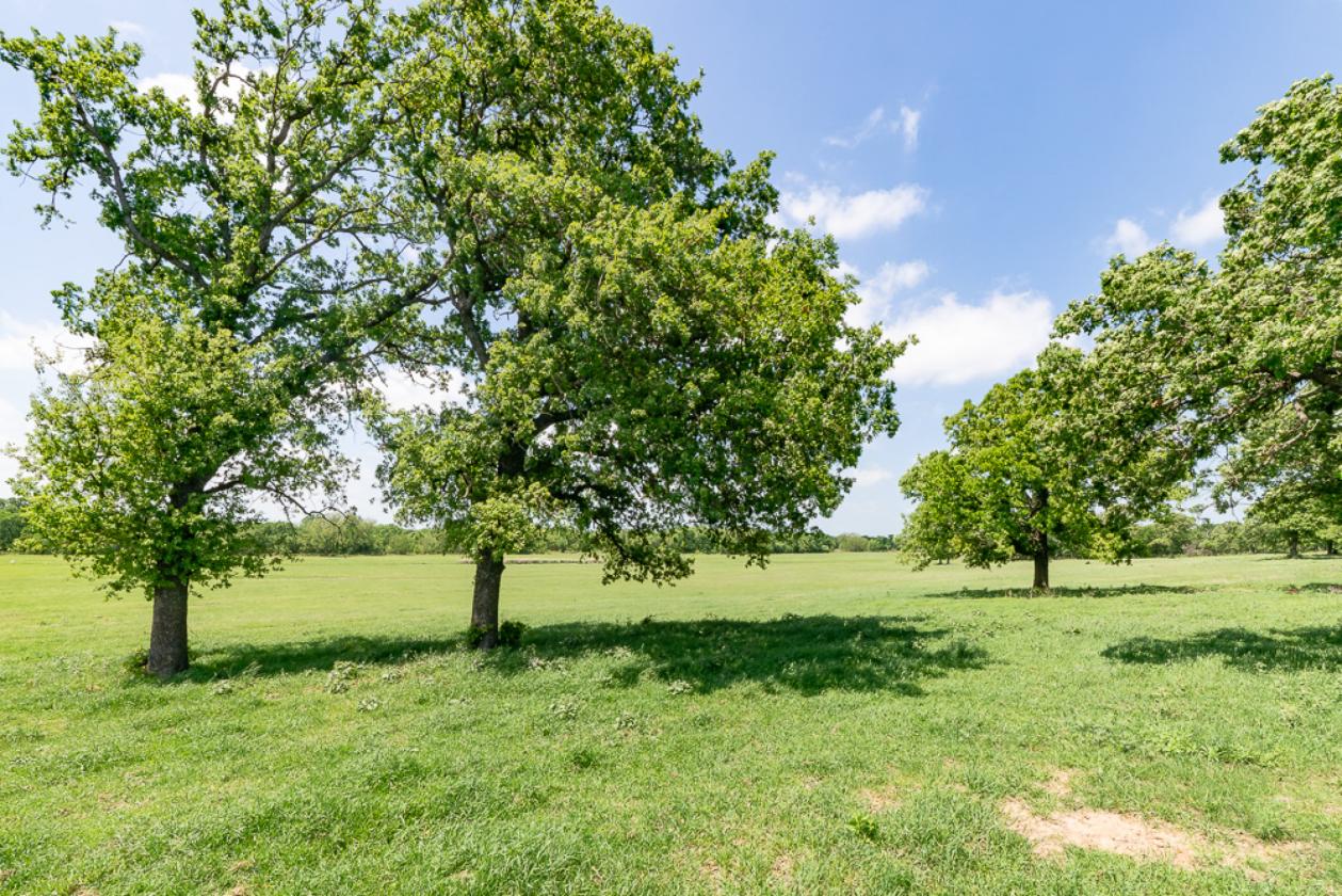 Scenic 64 Acre Horse & Cattle Property - photo 27