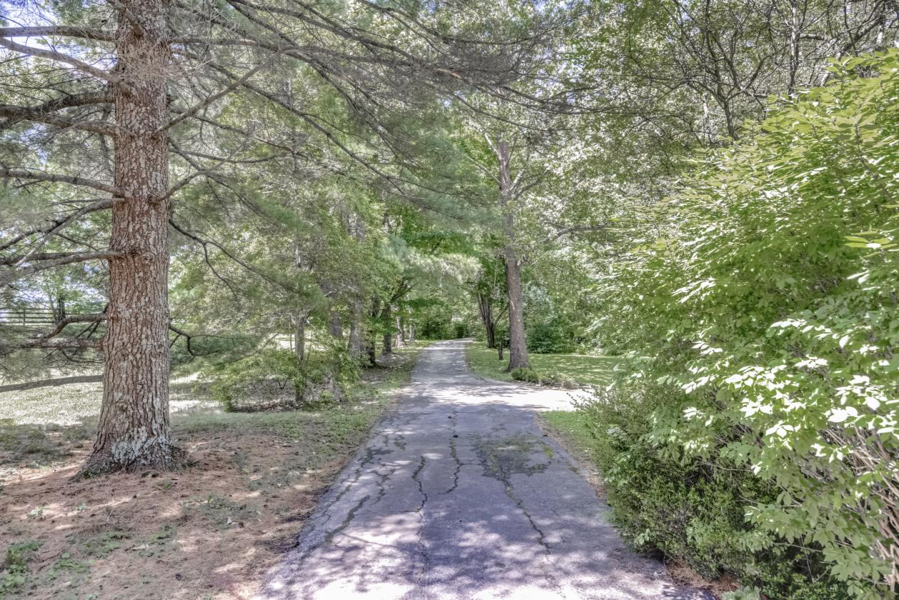 Horse property in Oldham County - photo 22