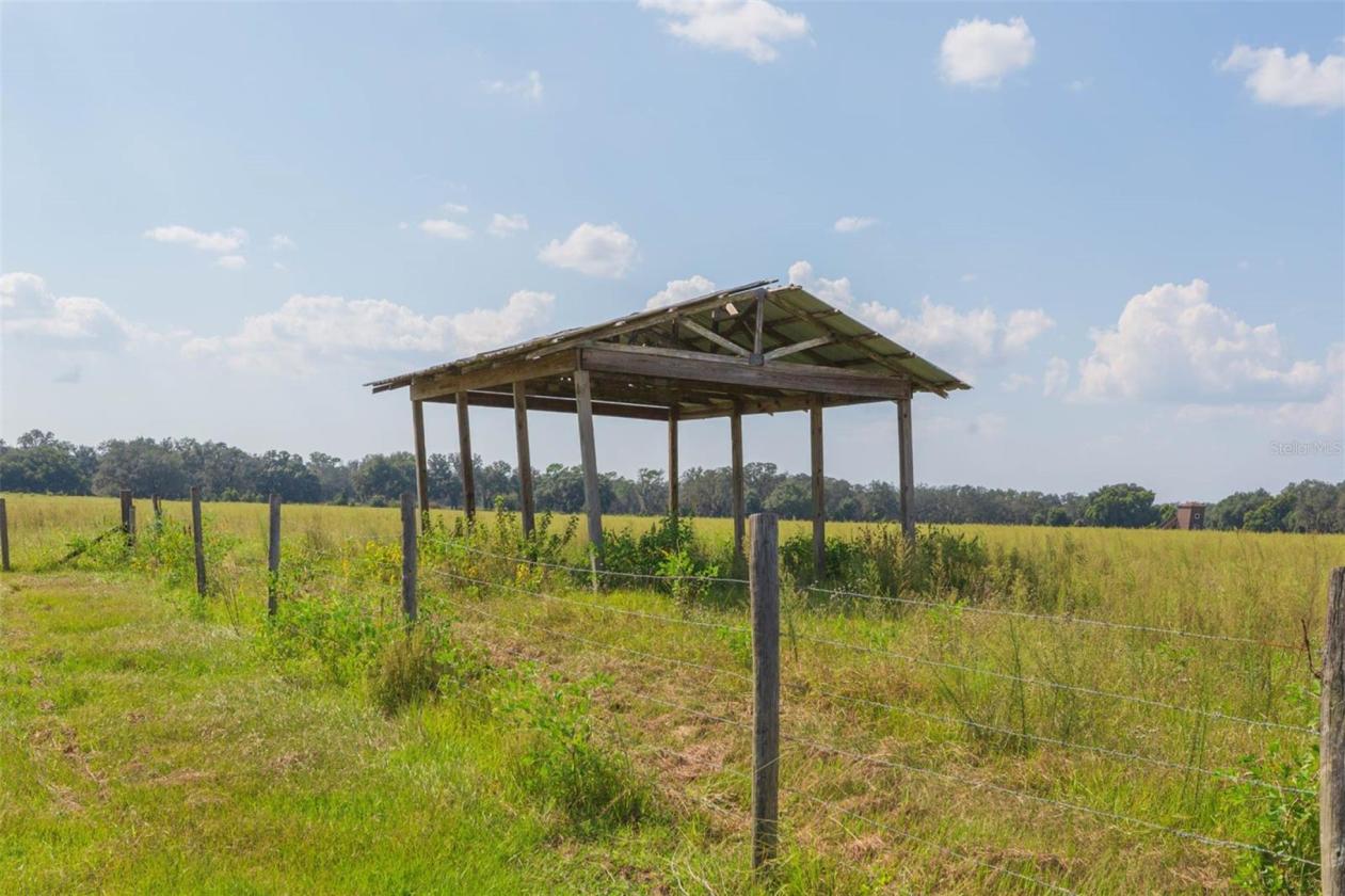 38.3 ACRE FARM WITH NEWLY REMODELED HOME - photo 26