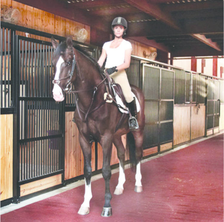 Rare New York Equestrian Center Available West Hempstead, Nassau