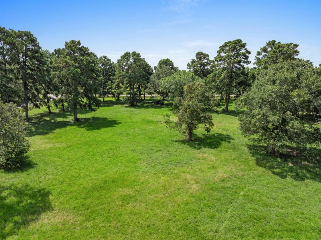 EXCEPTIONAL COUNTRY ESTATE READY FOR HORSES - photo 6