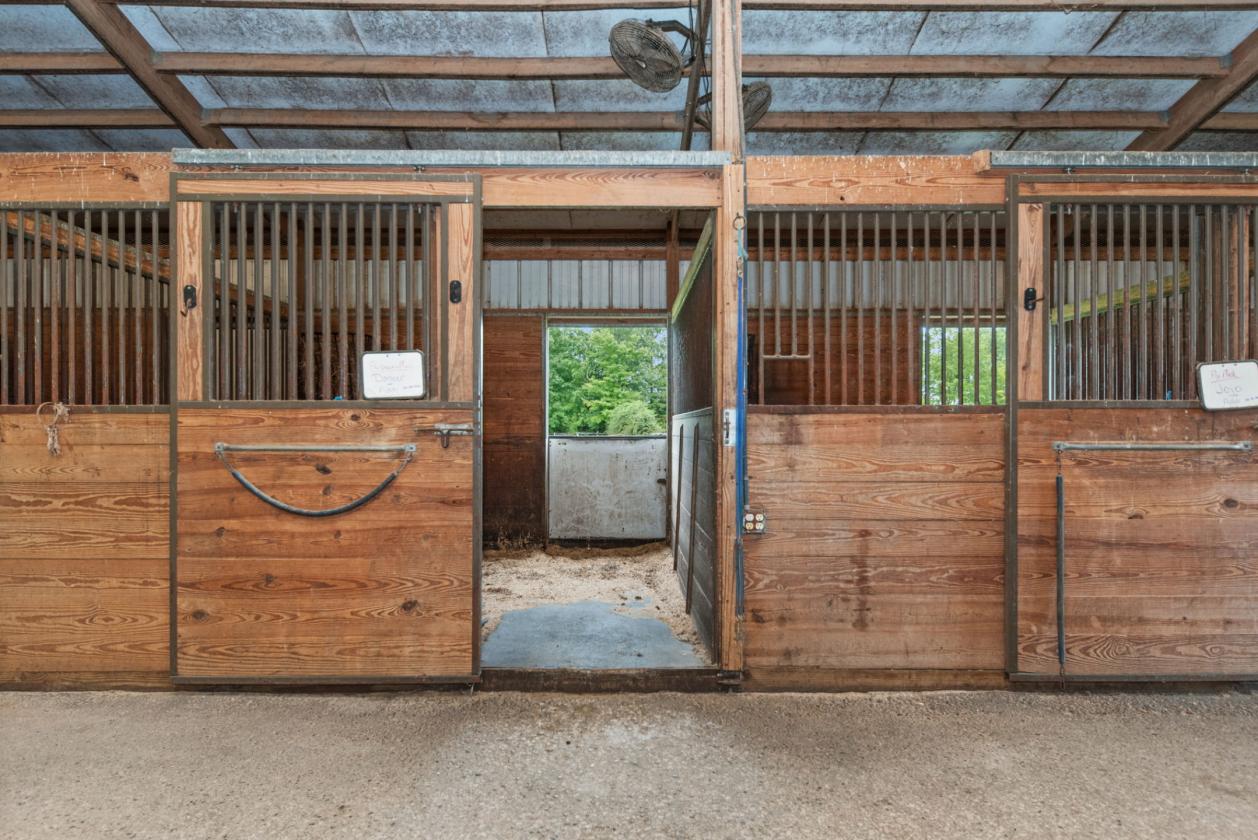 Cape Cod + 15 Acres + 18 Stalls + Indr + 2 Outdr - photo 10