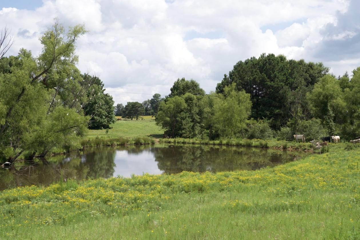273+/- Acres With 20,000 Square Covered Arena - photo 23