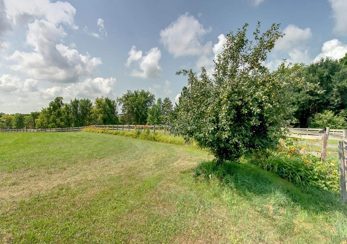 138-Acre Equestrian Property with Architect-Design - photo 26