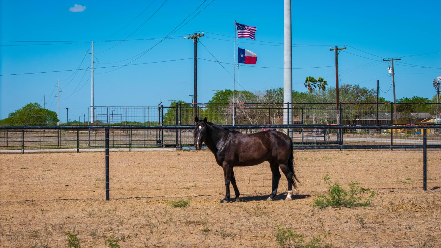 Turnkey Equine Property w/ Functional Improvements - photo 1