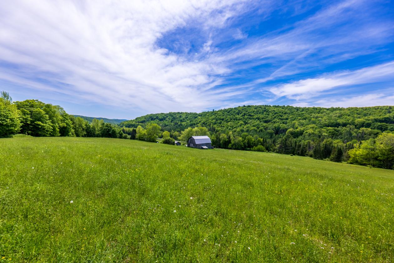 Equestrian Paradise in Picturesque Strafford - photo 14