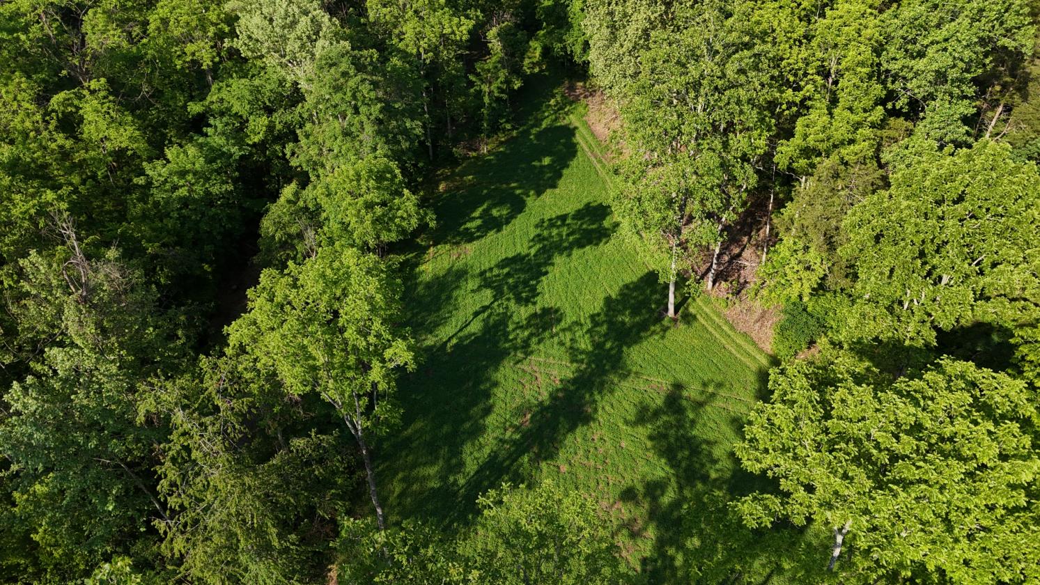 Wooded Estate With Multiple Clover Fields And Home - photo 12