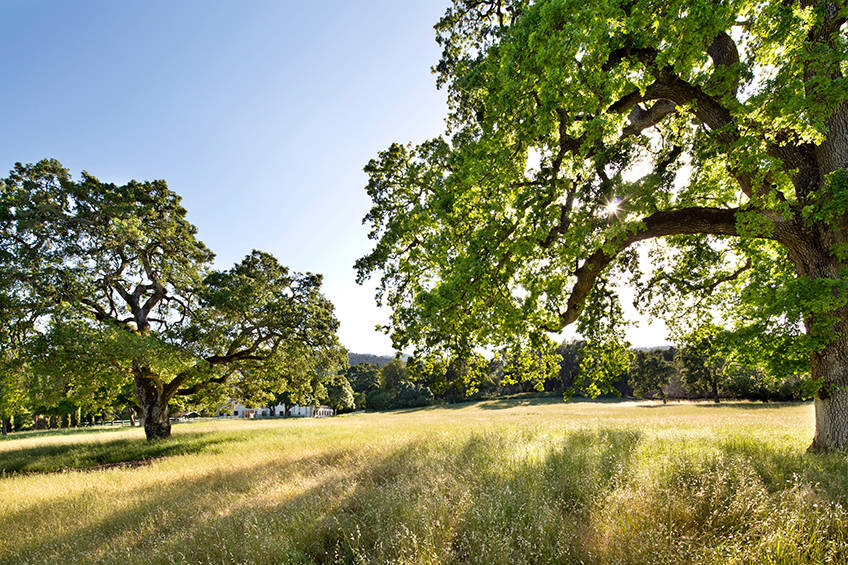 Premier Opportunity to Build Equestrian Estate Woodside, San Mateo